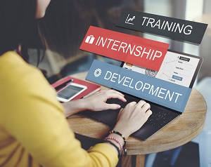 Internship training and development program.